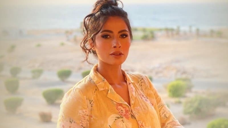 الأسلوب الفني والشخصية المميزة لروبي الأسلوب الفني والشخصية المميزة لروبي