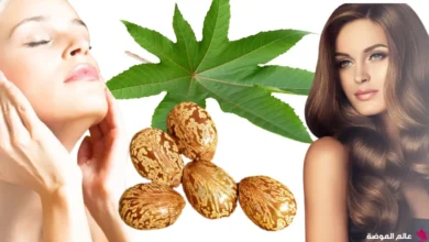 فوائد زيت الخروع