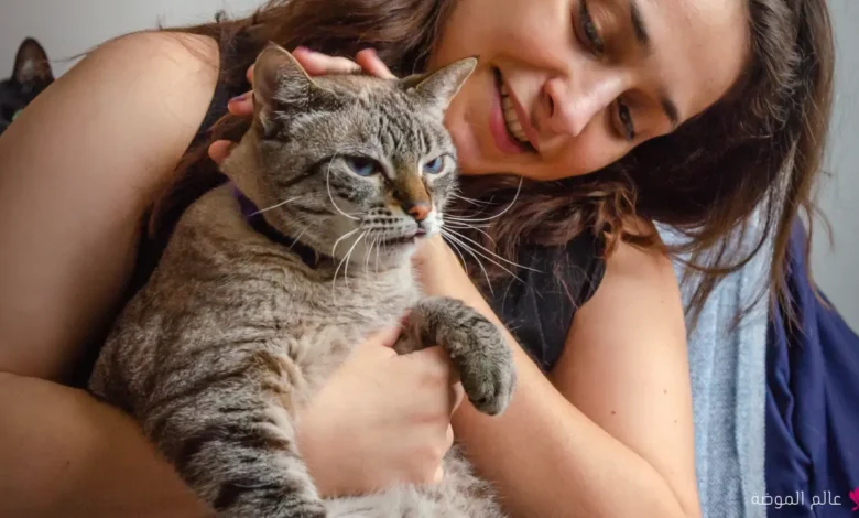 اسماء قطط